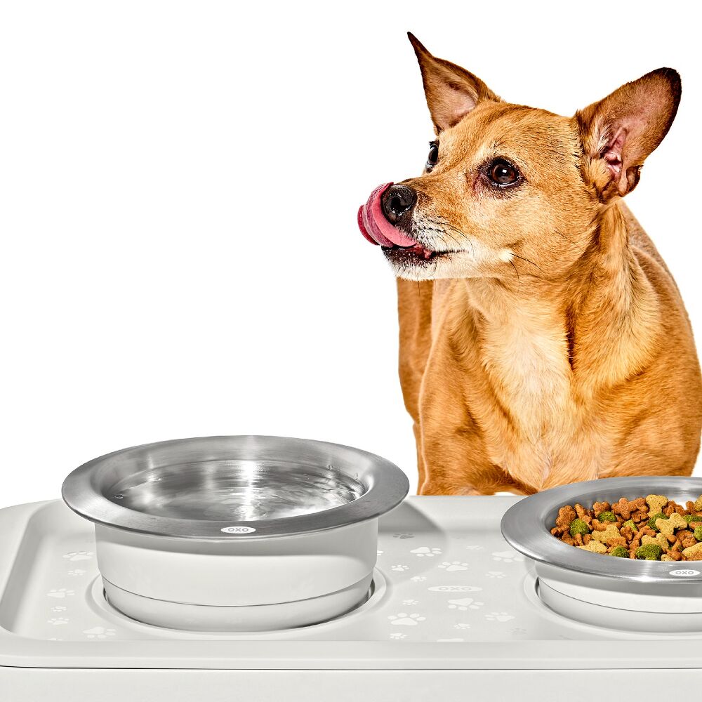 OXO Pet Nonslip Bowl - Large, 4 Cups / 950 mL X1